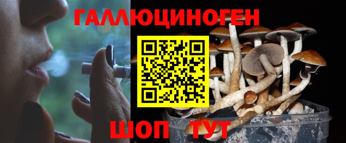 Видное  Галлюциногенные грибы ЛСД  Вход с VPN  наркота  Галлюциногенные грибы Magic Shrooms 